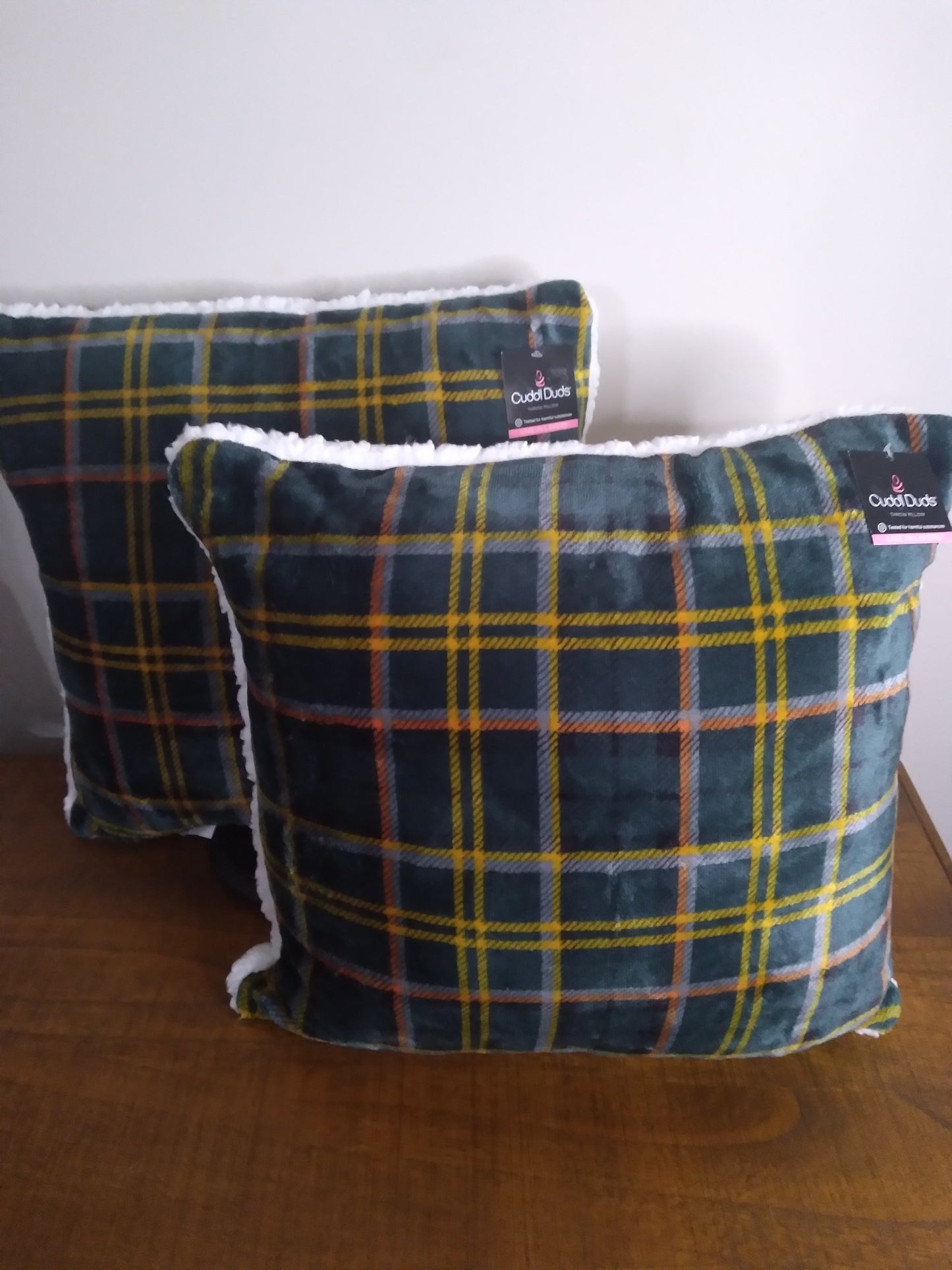 CUDDL DUDS PILLOWS