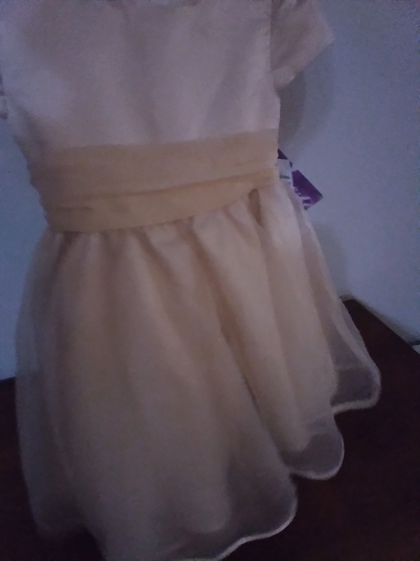 CHAMPAGNE BLUEBERI DRESS
