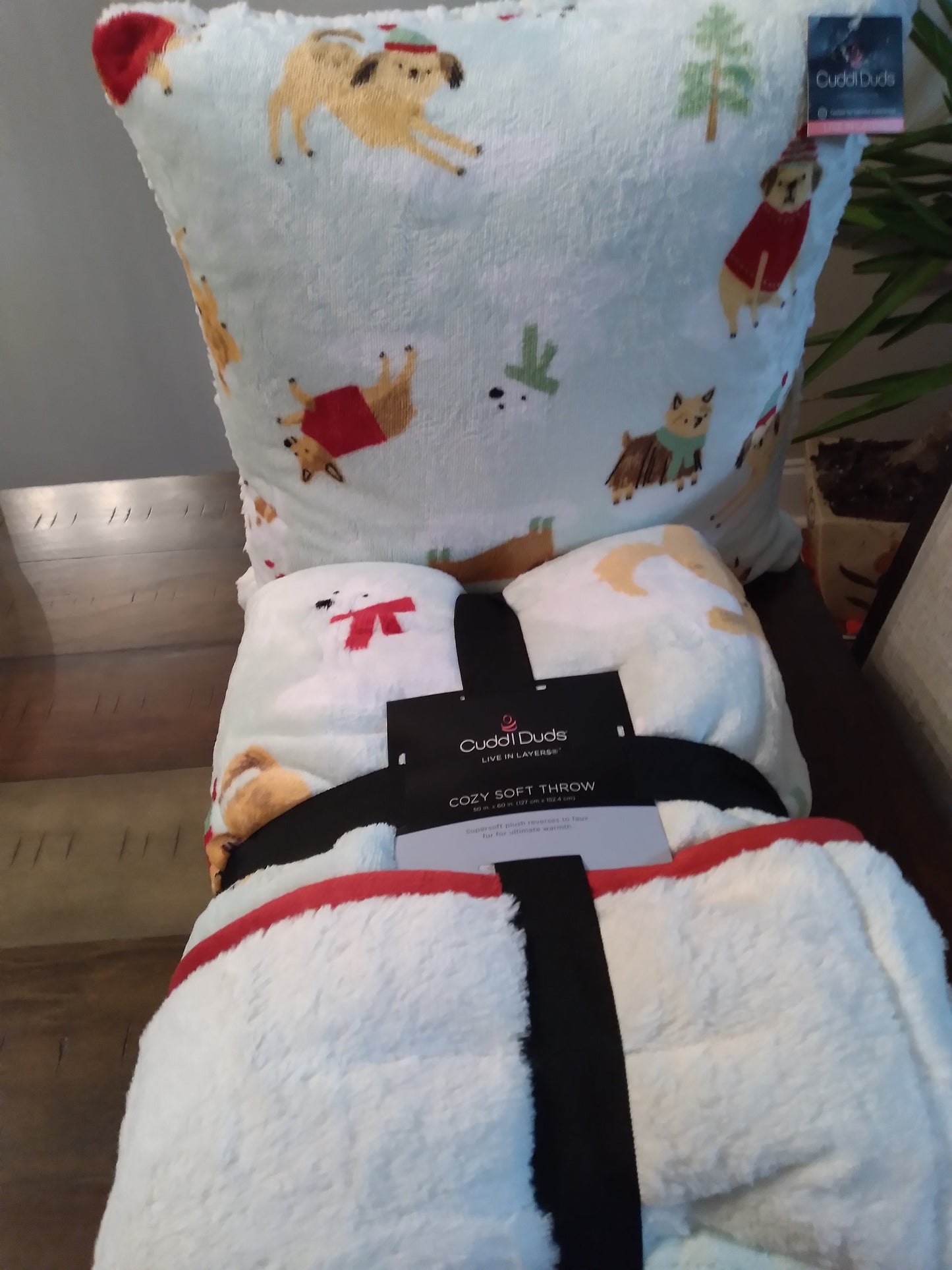 Cuddl Duds / Pillow